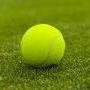 Tennis Ball for Baseball Coaching